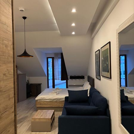 Kopaonik Apartmani Milmari - Katic Εξωτερικό φωτογραφία
