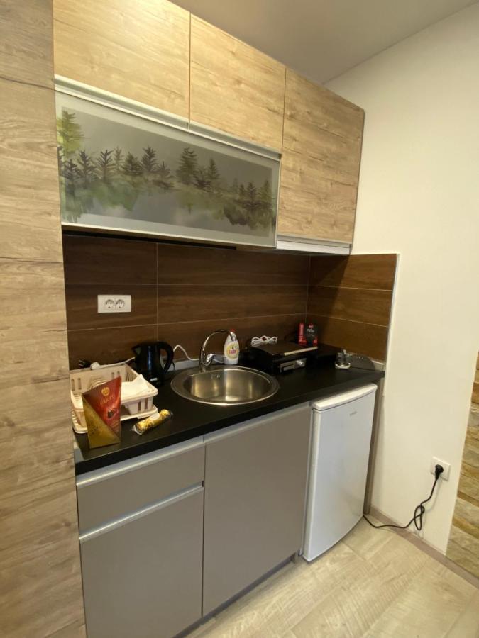 Kopaonik Apartmani Milmari - Katic Εξωτερικό φωτογραφία